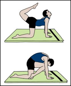 Read more about the article व्याघ्रासन (Vyaghrasana)