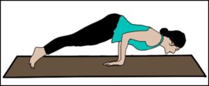 Read more about the article हंसासन (Hansasana)