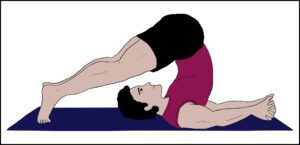 हलासन (Halasana)