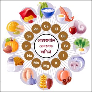 आहारातील आवश्यक खनिजे (Essential minerals in the diet)