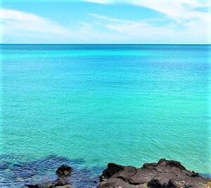 Read more about the article हिंदी महासागरातील पाण्याचे तापमान व लवणता (Temperature and Salinity of Indian Ocean Water)