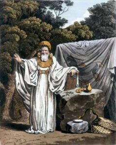 Read more about the article ड्रुइड (Druid)