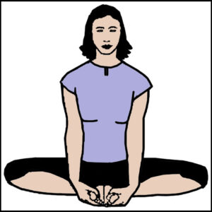 Read more about the article भद्रासन (Bhadrasana)