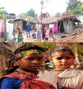 Read more about the article भारिया जमात (Bhariya Tribes)