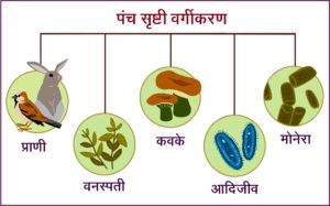 पंचसृष्टी वर्गीकरण (Five kingdom classification)