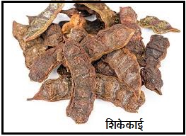 शिकेकाई (Soap pod tree)