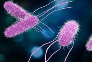 Read more about the article विषमज्वर (Typhoid)