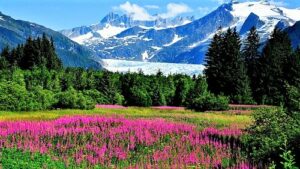 अलास्का पर्वतरांगा (Alaskan Mountains)