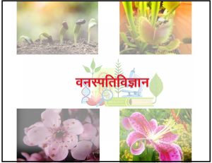वनस्पतिविज्ञान (Botany)