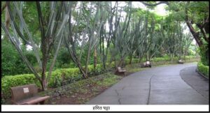 Read more about the article हरित पट्टा (Green belt)
