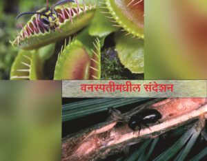 वनस्पतीमधील संदेशन (Plant communication)