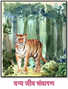Read more about the article वन्य जीव संधारण (Wild life conservation)