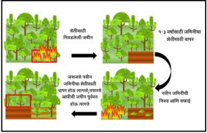 स्थलांतरित शेती (Shifting cultivation)