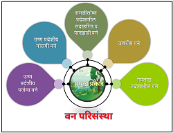 वन परिसंस्था (Forest ecosystem)