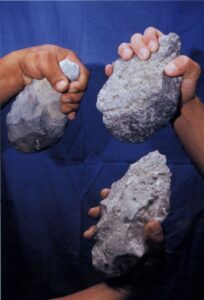 अधोजल प्रागैतिहासिक पुरातत्त्व (Underwater Prehistoric Archaeology)
