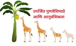 उपर्जित गुणवैशिष्ट्ये आणि आनुवंशिकता (Acquired Characteristics and Inheritance)