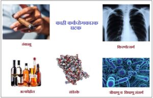कर्करोगकारक घटक (Carcinogens)