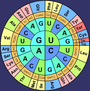 जनुकीय संकेत (Genetic code)
