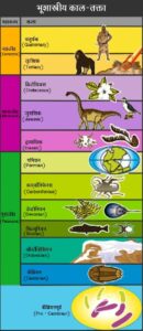 जिवंत जीवाश्म (Living Fossils)