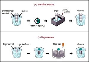 Read more about the article कृत्रिम रचनांतरण (Artificial Transformation)