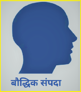 बौद्धिक संपदा (Intellectual Property)