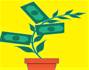 भांडवली अंदाजपत्रक/भांडवली अर्थसंकल्प (Capital Budgeting)