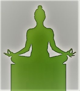 स्व-जाणीव (Self-Awareness)