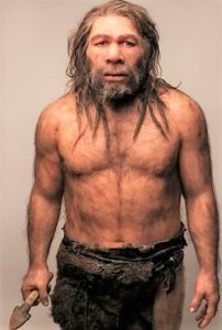 Read more about the article शारीरिक दृष्ट्या आधुनिक मानव (Anatomically Modern Homo Sapiens)