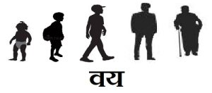 Read more about the article वय (Age)