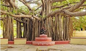 कलाक्षेत्र (Kalakshetra)