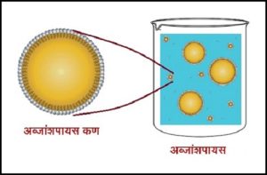 अब्जांशपायस (Nanoemulsions)