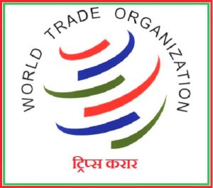 Read more about the article ट्रिप्स करार (Trips Agreement)