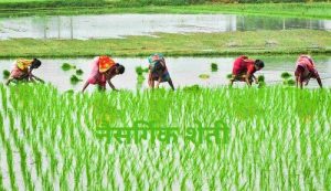 नैसर्गिक शेती (Natural Farming)