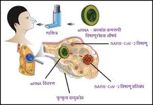 अब्जांश कण आणि आरएनए उपचारपद्धती  (Nano particles and RNA Treatment Methods)