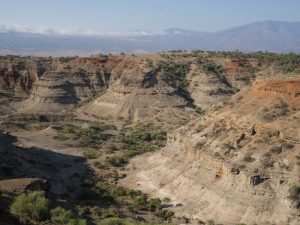 ओल्डुवायी गॉर्ज (Olduvai Gorge) (Oldupai Gorge)
