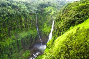 Read more about the article ठोसेघर धबधबा (Thoseghar Waterfall)
