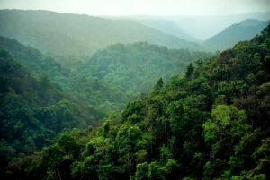 अंशी राष्ट्रीय उद्यान ( Anshi National Park)