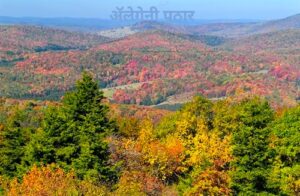 अ‍ॅलेगेनी पठार (Allegheny Plateau)