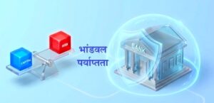भांडवल पर्याप्तता (Capital Adequacy)